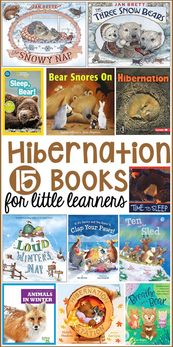 15 Hibernation Books for Little Learners - Pocket of Preschool