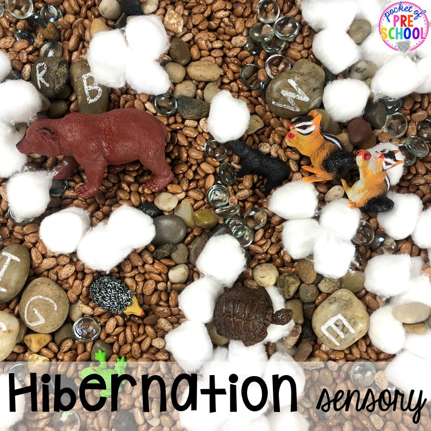 Hibernantion sensory bin! Plus hibernation centers and activities for preschool, pre-k, and kindergarten. #hibernantiontheme #wintertheme #preschool #prek #kindergarten