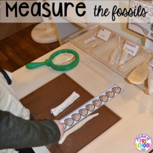 Measure the fossils! ow to make a Dinosaur Dig Site in dramatic play and embed tons of math, literacy, and STEM into their play. Perfect for preschool, pre-k, and kindergarten. #preschool #prek #dinosaurtheme #dinodig #dramaticplay