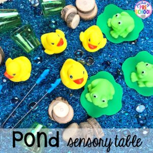 Pond Sensory table plus more pond theme activities and centers for preschool, pre-k, and kindergarten. #preschool #prek #pondtheme