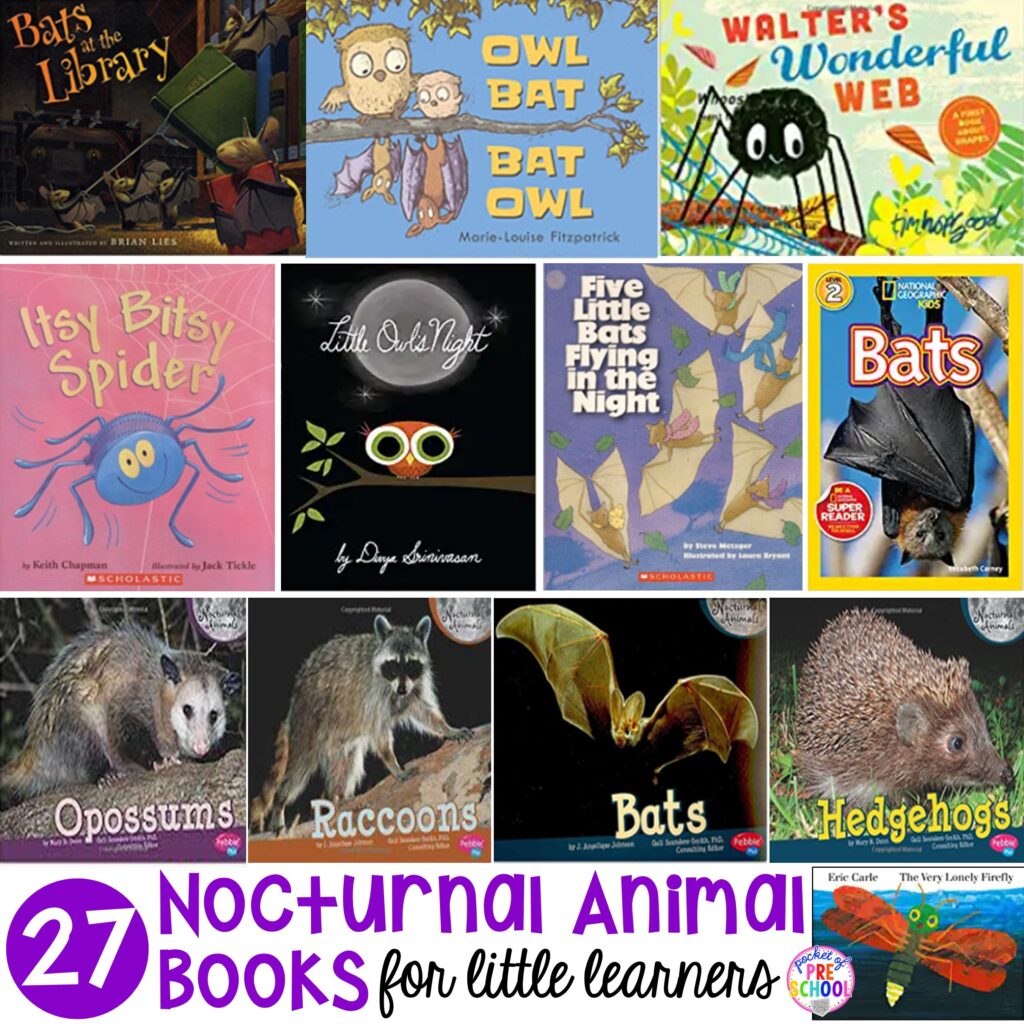 Nocturnal Animal Books for Little Learners - Pocket of Preschool
