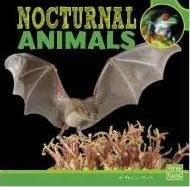 nocturnal animals
