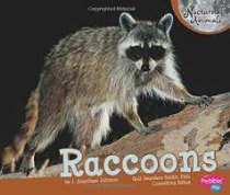 Nocturnal Animals book list for preschool, pre-k, and kindergarten. Perfect for an animal theme or science unit. #animaltheme #booklist #scienceunit #childrensbooklist