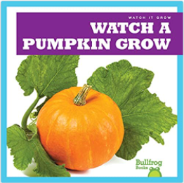 watch a pumpkin grow