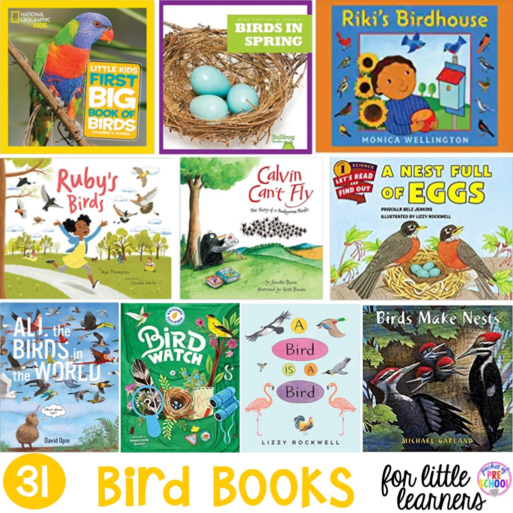 Bird Books for Little Learners - Pocket of Preschool