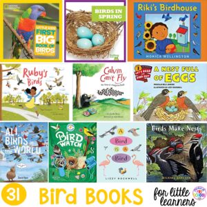 Bird book list for preschool, pre-k, and kindergarten. The perfect resources for a bird unit, nature unit, or wildlife theme! #birdunit #natureunit #wildlife #booklist #childrensbooklist