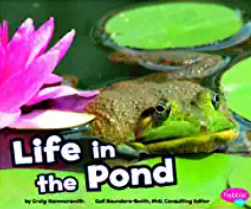 Pond book list for preschool, pre-k, and kindergarten. The perfect resources for a pond life unit or outdoor theme! #pondlifeunit #outdoortheme #booklist #childrensbooklist