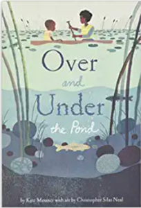 over and under the pond