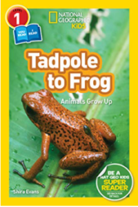 tadpole to frog