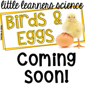 Do a science study on birds with this complete unit made for preschool, pre-k, and kindergarten students.