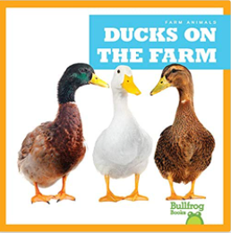 Chicken & duck book list for preschool, pre-k, and kindergarten. The perfect resources for a bird unit, farm theme, or nature unit! # natureunit #farmtheme #birdunit #chickenbooklist #duckbooklist #childrensbooklist #booklist