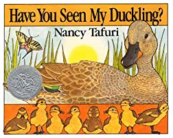 have you seen my duckling