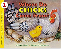 where do chicks come from