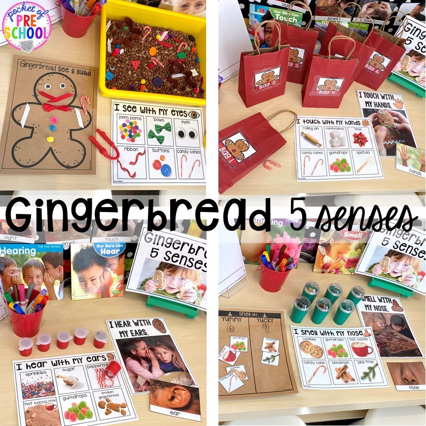 Gingerbread 5 Senses science unit is packed with hands-on activitives made just for preschool, pres-school, and kindergarten.