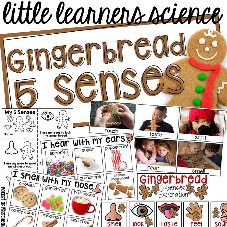 Little Learners Gingerbread 5 Senses Science Unit for preschool, pre-k, and kindergarten students