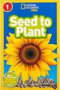 seed to plant
