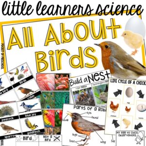 Little Learners Science all about birds, a printable science unit designed for preschool, pre-k, and kindergarten students.