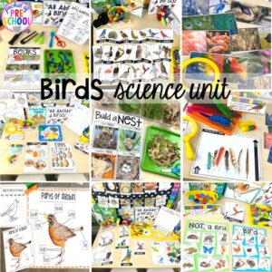 Explore birds for preschool, pre-k, and kindergarten students with this science unit.