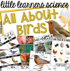 Learn about birds with this complete science unit designed for preschool, pre-k, and kindergarten students.