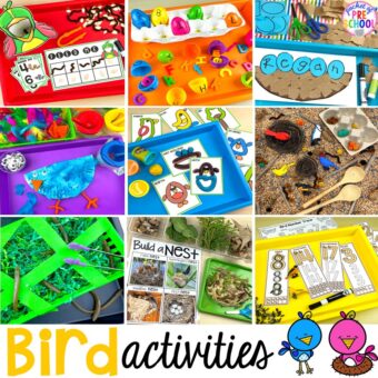 Bird activities for preschool, pre-k, and kindergarten students.