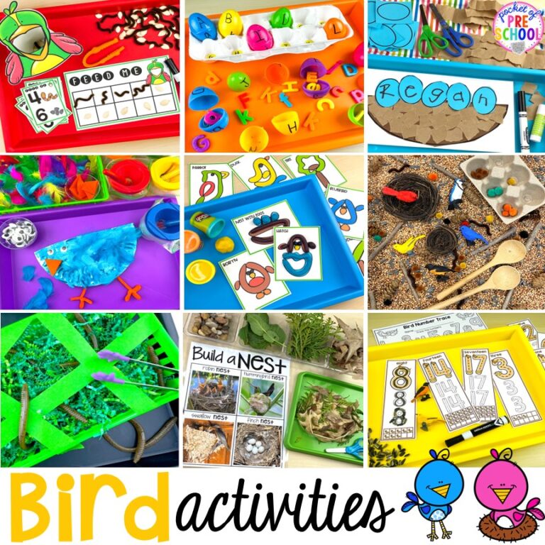29 Bird Activities for Preschool, Pre-K, and Kindergarten