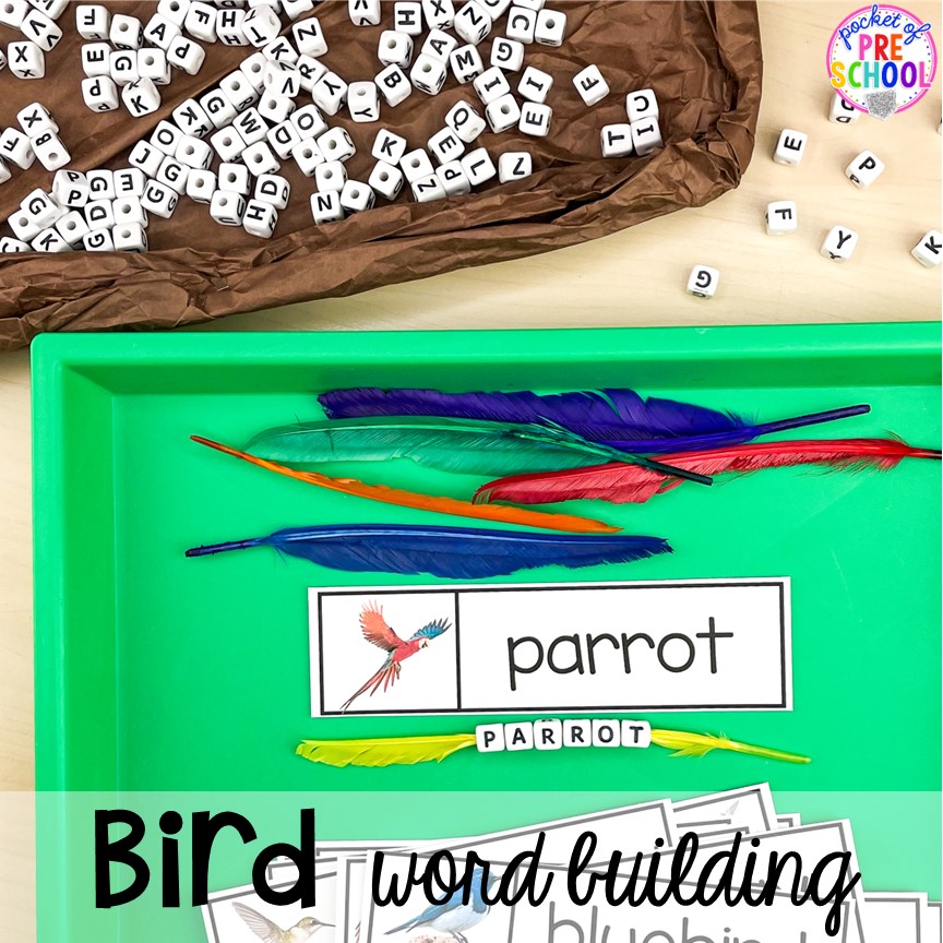 Bird word building activity with beads and feathers plus tons of Bird activities (literacy, math, fine motor, science) and FREE bird play dough mats perfect for preschool, pre-k, and kindergarten.