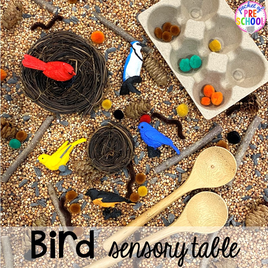 Bird sensory table plus tons of Bird activities (literacy, math, fine motor, science) and FREE bird play dough mats perfect for preschool, pre-k, and kindergarten.