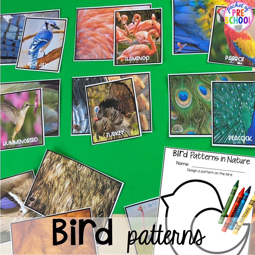 Bird pattern matching game to explore feathers and patterns in nature plus tons of Bird activities (literacy, math, fine motor, science) and FREE bird play dough mats perfect for preschool, pre-k, and kindergarten.