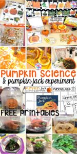 Pumpkin science activities with FREE Printables -parts of a pumpkin, lifecycle of a pumpkin, Pumpkin Jack experiment for preschool, pre-k, and kindergarten.