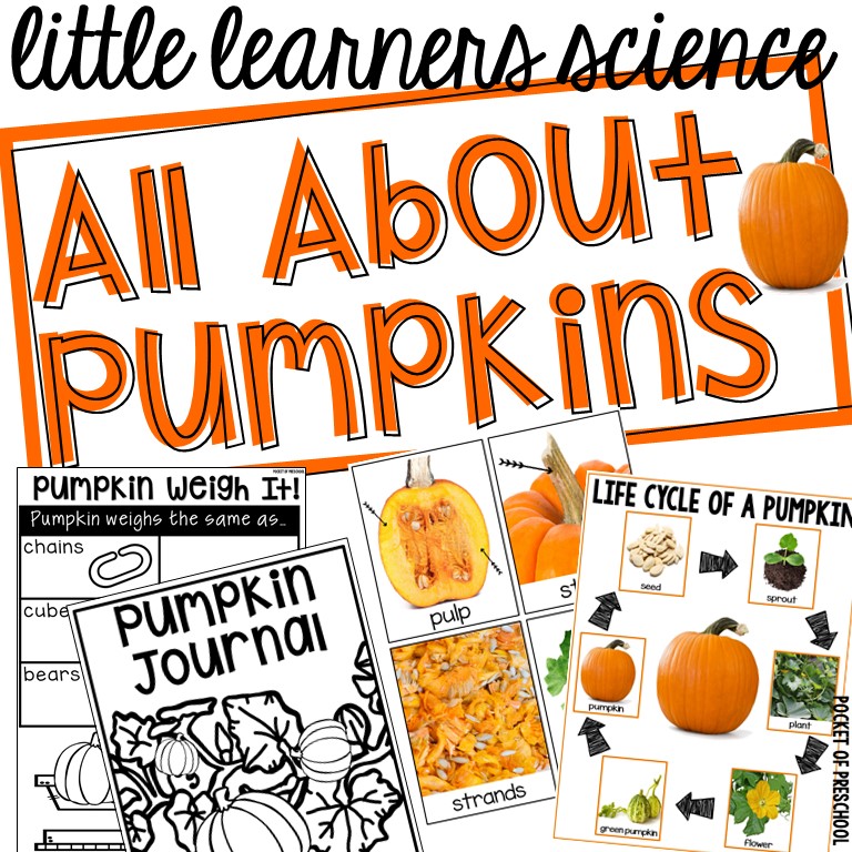 Little Learners Science All About Pumpkins Unit for preschool, pre-k, and kindergarten students to learn, explore, and investigate pumpkins!
