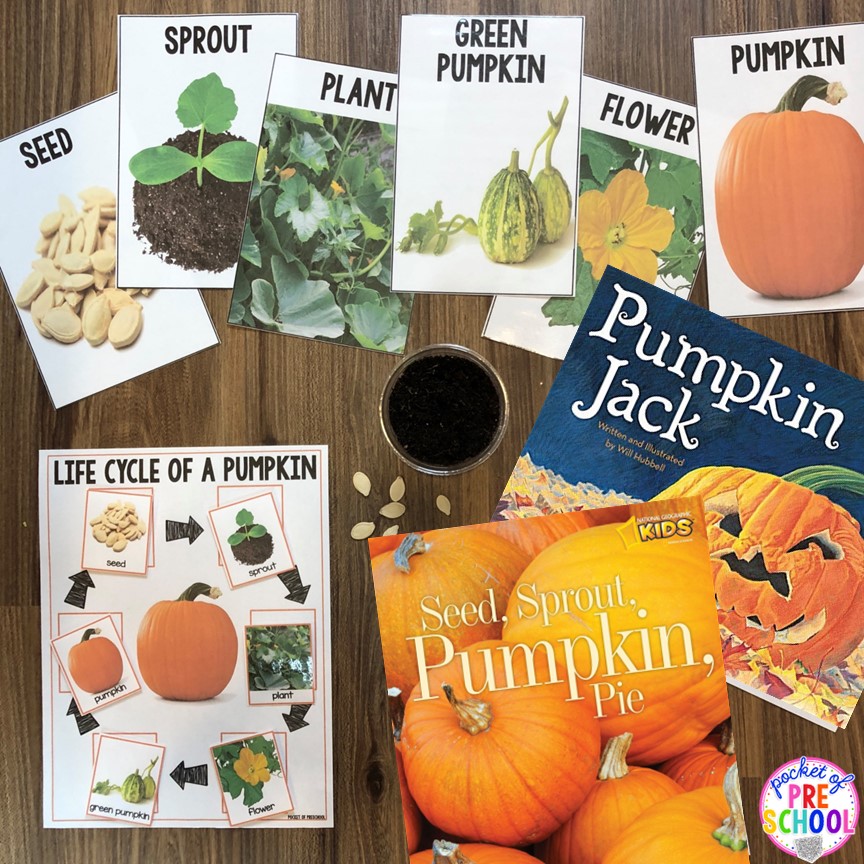 Parts of a pumpkin printables and Pumpkin Jack experiment FREEBIEs for preschool, pre-k, and kindergarten.