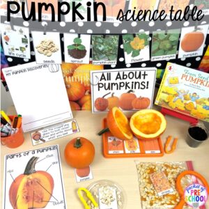 pumpkin science activity 2