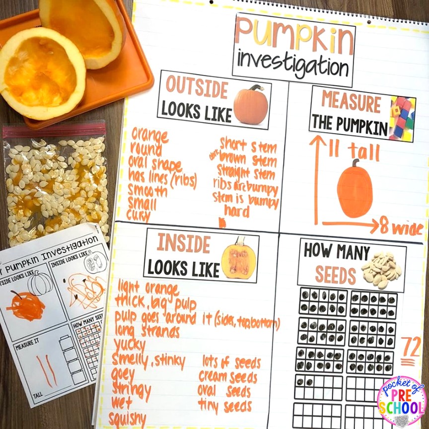 Have pumpkin investigation by creating a science anchor chart with your preschool, pre-k, and kindergarten students during circle time or a science talk.
