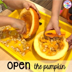 pumpkin science activity 5