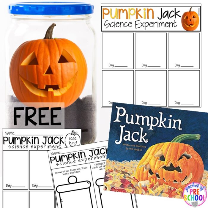 Pumpkin Science Activities & Pumpkin Jack Experiment - *Pocket of Preschool