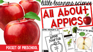 Little Learners Science all about apples, a printable science unit designed for preschool, pre-k, and kindergarten students.