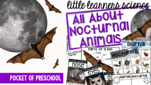 Little Learners Science all about nocturnal animals, a printable science unit designed for preschool, pre-k, and kindergarten students.
