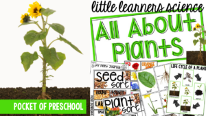 Little Learners Science all about plants, a printable science unit designed for preschool, pre-k, and kindergarten students.