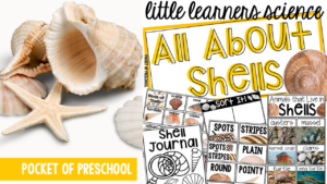 Little Learners Science all about shells, a printable science unit designed for preschool, pre-k, and kindergarten students.