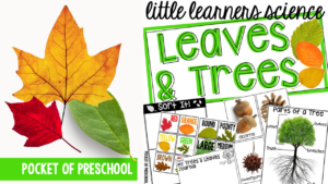 Little Learners Science all about trees and leaves, a printable science unit designed for preschool, pre-k, and kindergarten students.