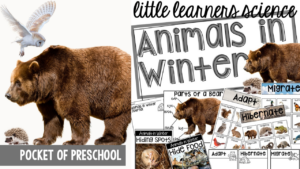 Little Learners Science all about animals in the winter, a printable science unit designed for preschool, pre-k, and kindergarten students.