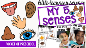 Little Learners Science all about 5 senses, a printable science unit designed for preschool, pre-k, and kindergarten students.