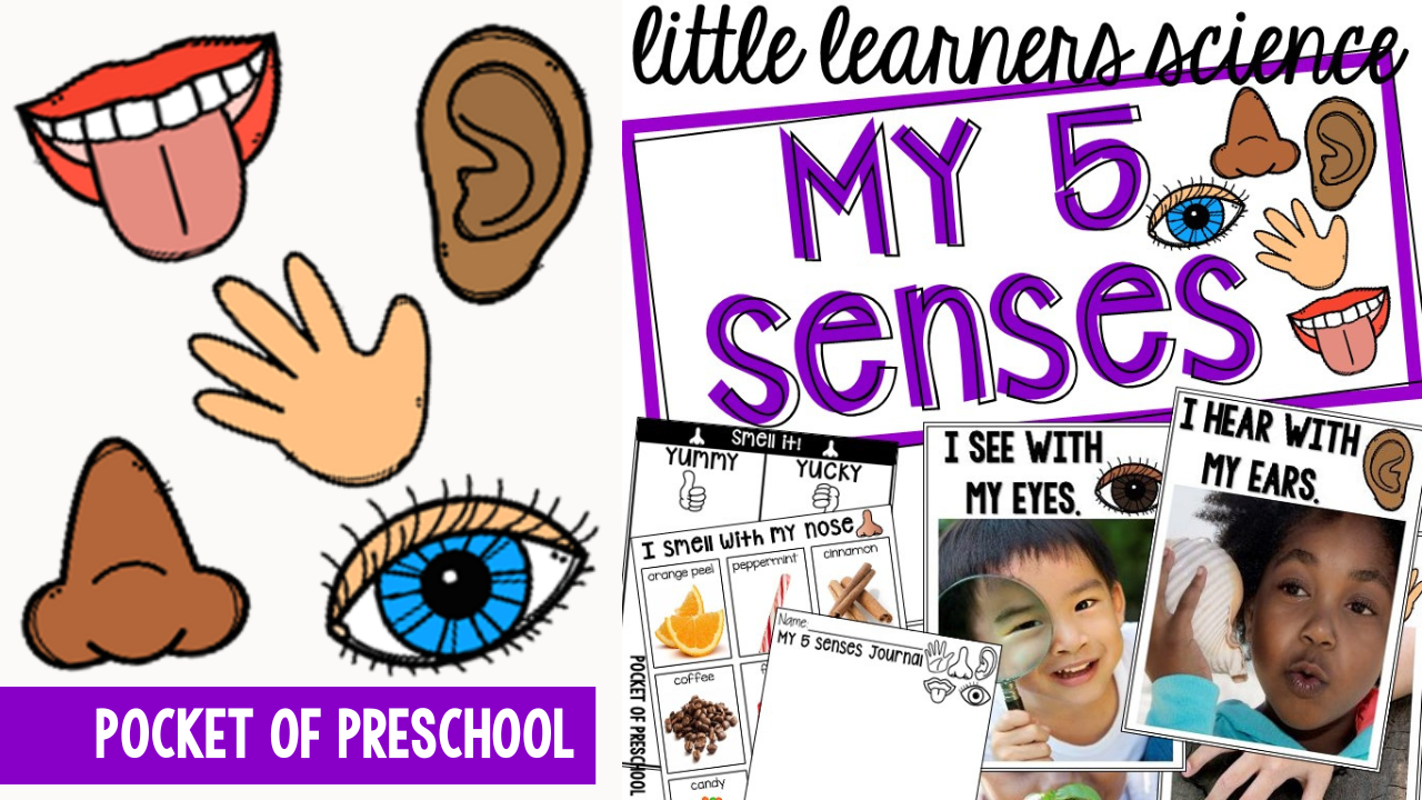 Little Learners Science- My 5 Senses - Pocket of Preschool