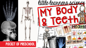 Little Learners Science all about my body and teeth, a printable science unit designed for preschool, pre-k, and kindergarten students.
