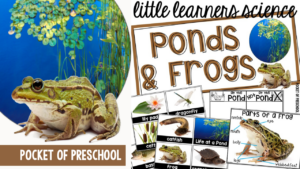 Little Learners Science all about ponds and frogs, a printable science unit designed for preschool, pre-k, and kindergarten students.