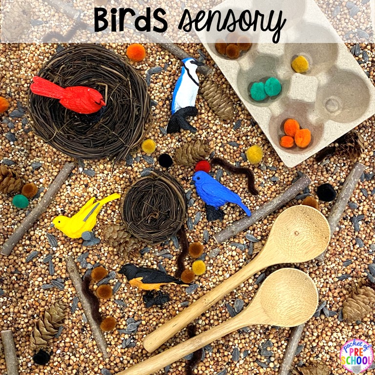 Bird sensory bin for preschool, pre-k, and kindergarten students to improve hand-eye coordination, problem solving skills, and more. Plus 55 more sensory ideas.