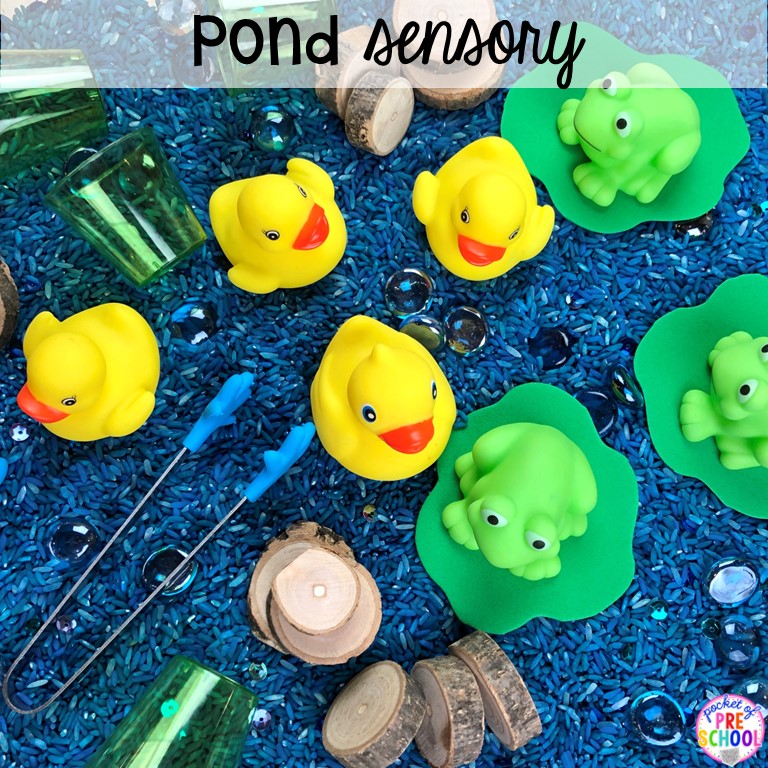 Pond sensory bin plus 55 sensory bin ideas for the whole year! #sensorybin #sensorytable #sensory #sensoryplay #preschool #prek #kindergarten
