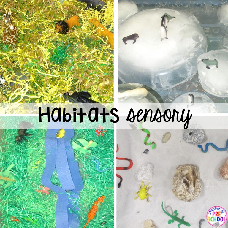 4 habitat sensory ideas for preschool, pre-k, and kindergarten students. Plus 55 other sensory bin ideas.