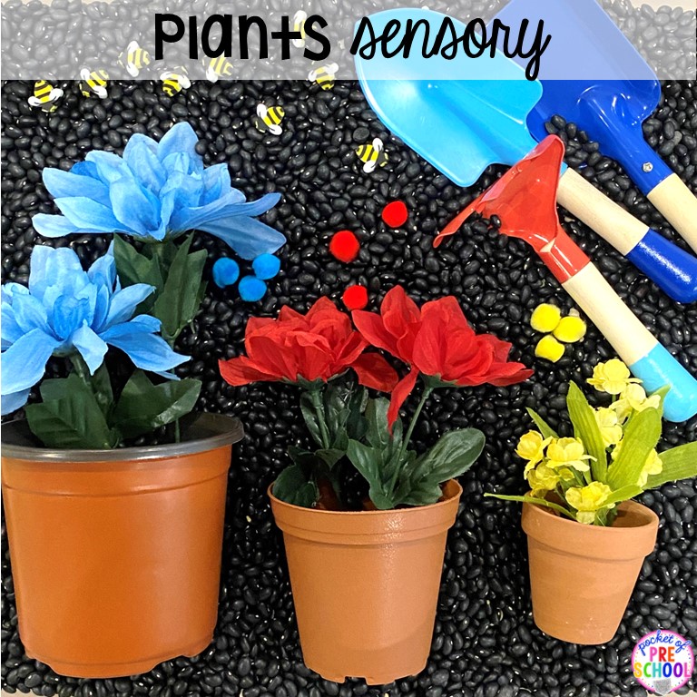 sensory-table-ideas-9-1 - Pocket of Preschool