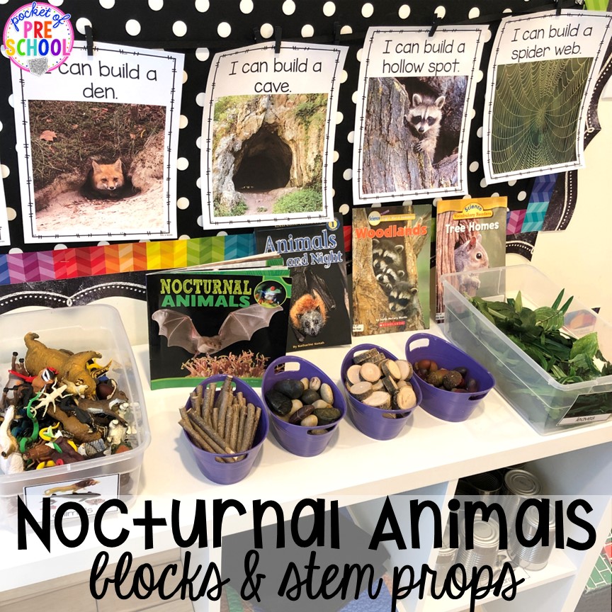 Set up your stem and block area with these nocturnal animals themed props for preschool, pre-k, and kindergarten students.